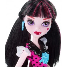 Куклa Monster High Первый день в школе DNW97 DNW98