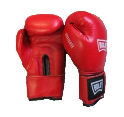 Перчатки боксерские Everfight EGB-538 Hamza red