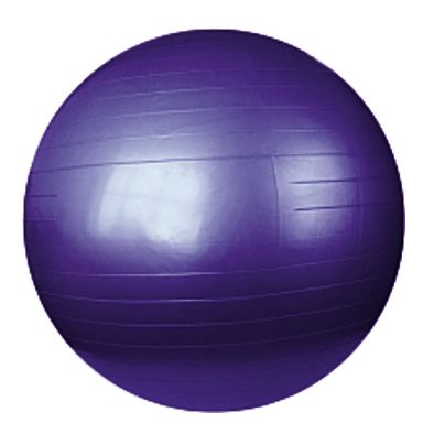 Мяч гимнастический для фитнеса (фитбол) Sundays Fitness IR97402 75 см purple