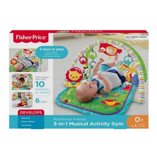 fisher price 3 in 1 gym