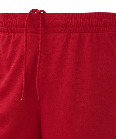 Шорты баскетбольные Jogel PerformDry Division Star red