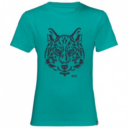 На картинке изображен Футболка детская Jack Wolfskin Brand T Kids green ocean Футболка детская Jack Wolfskin Brand T Kids green ocean