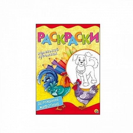 Раскраска Рыжий Кот Домашние животные Р-6402