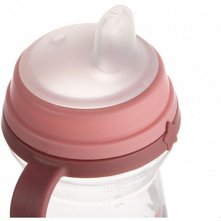 Поильник обучающий Canpol babies Bonjour Paris с силиконовым носиком 250 мл 6+  (56/613_pin) pink