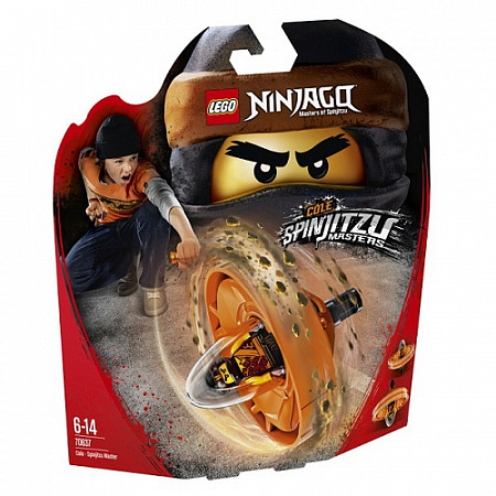 Конструктор LEGO Ninjago Коул - Мастер Кружитцу 70637