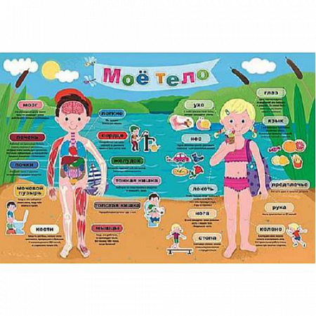 Пазл Мое тело 15528
