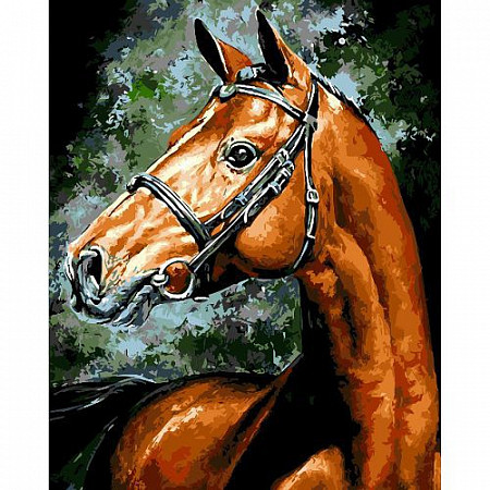 Картина по номерам Picasso Ахалтекинская лошадь PC4050404
