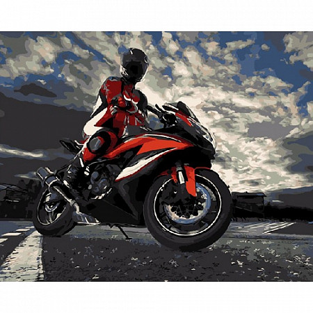 Картина по номерам Picasso Мотоциклист PC4050439