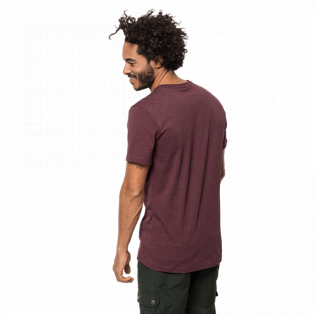 Футболка мужская Jack Wolfskin Motosu Lake T M port wine