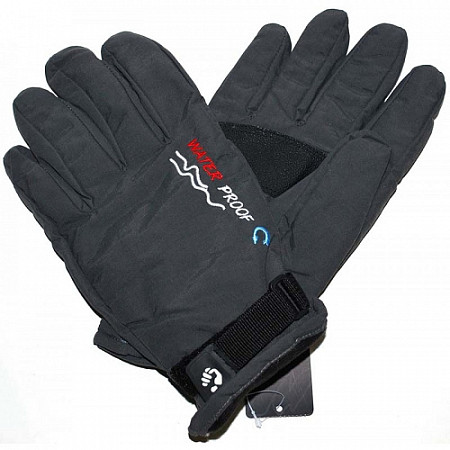 Перчатки горнолыжные Zez Sport G29 black