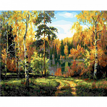Картина по номерам Picasso Осенний лес PC4050417