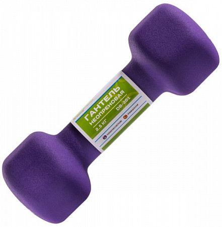 Гантель неопреновая Starfit DB-201 2,5 кг purple