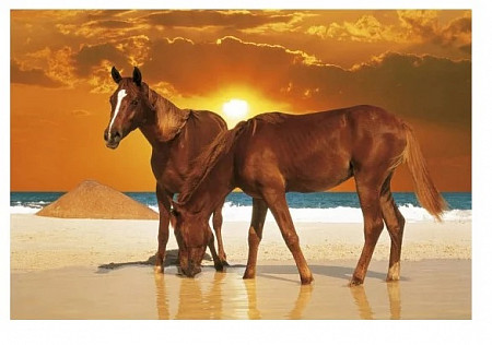 Пазл Trefl Лошади на пляже 26093