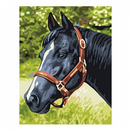 Картина по номерам Picasso Лошадь №4 PC3040012