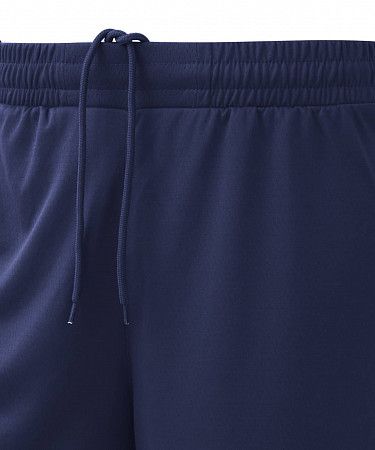 Шорты баскетбольные Jogel PerformDry Division Star dark blue
