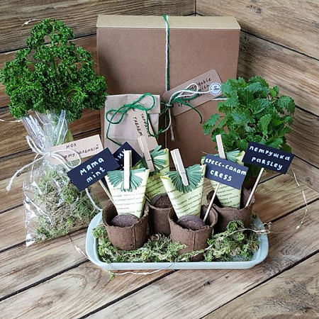 Подарочный набор Mini-garden-Box №28