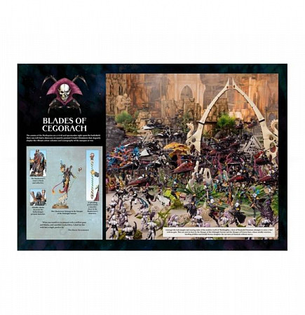 Книга Games Workshop Warhammer Codex: Harlequins (hb) ENG 58-01-60