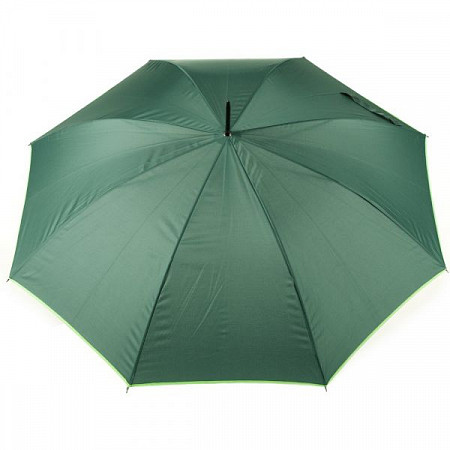 Зонт-трость Easy Gifts Lexington 186909 Green