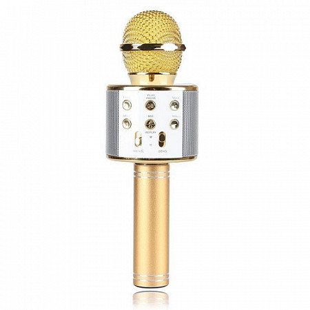 Колонка с функцией Караоке Микрофона Wster WS-858 gold