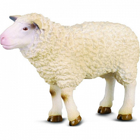 Игрушка Collecta Овца 88008B M