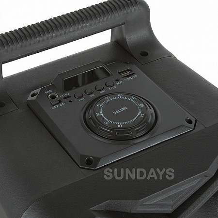 Колонка 08" SY1778/BT-1778