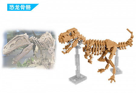 Конструктор YZ-Diamond Dinosaur Skeleton 66506
