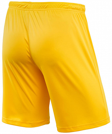 Шорты футбольные Jogel CAMP JFS-1120-041 yellow/white