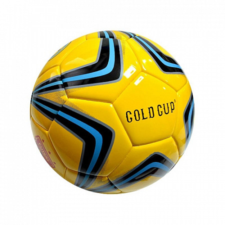 Мяч футзальный Gold Cup FS10