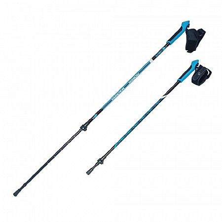 Палки для скандинавской ходьбы RGX NWS-116 blue