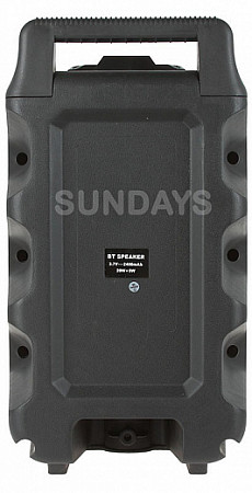 Колонка 08" SY1778/BT-1778