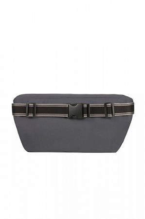 Сумка поясная Samsonite Hip-Sport CS9-01001 Blue