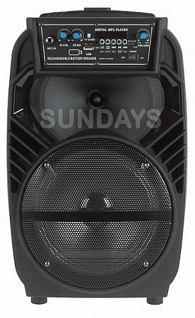 Колонка Eltronic 08" динамик 8" HX0813