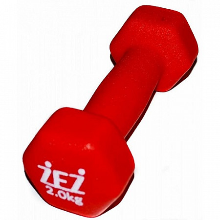 Гантель виниловая Zez Sport 2kg-N