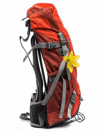 Рюкзак женский Deuter AC Aera 22 SL