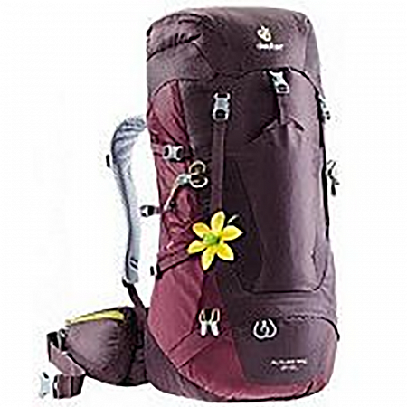 Рюкзак Deuter Futura Pro 34 SL 3401018-5525 Aubergine/Maron