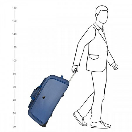 Дорожная сумка Polar 7022.5 black