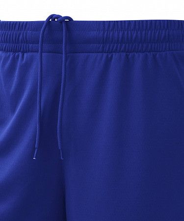 Шорты баскетбольные Jogel PerformDry Division Star blue