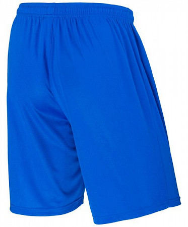 Шорты баскетбольные Jogel JBS-1120-071 blue/white