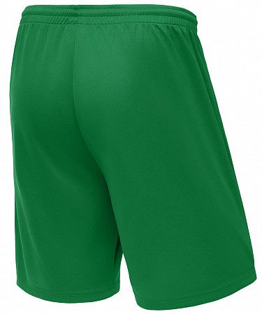 Шорты баскетбольные Jogel Camp Basic JC2SH0121.73 green