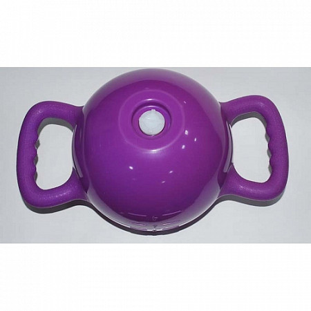 Мяч для пилатеса с ручками Zez Sport YJ-COC-G purple