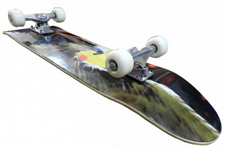 Скейтборд Vimpex Sport SHN-108