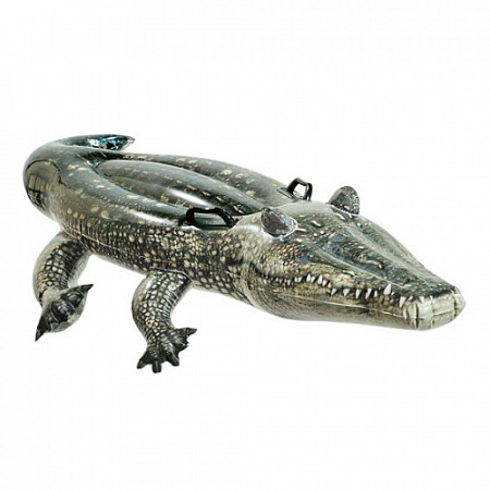 Надувная игрушка-наездник Intex Alligator 170х86 см 57551NP