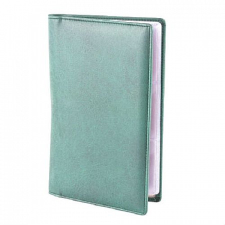 Визитница Brunnen Торино 642-38-50 Green