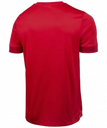 Футболка игровая Jogel DIVISION PerFormDRY Union Jersey red/white/dark red