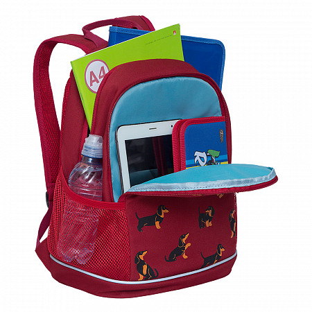 Рюкзак школьный GRIZZLY RG-163-5 /1 red