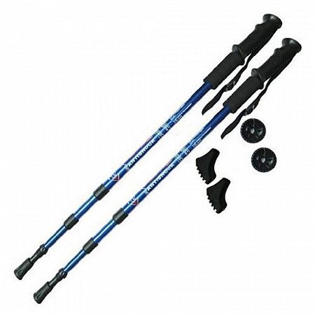 Палки для скандинавской ходьбы H10015-1 blue