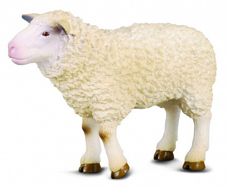 Игрушка Collecta Овца 88008B M