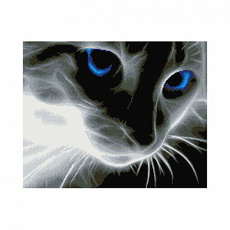 Алмазная мозаика Picasso "Взгляд синих глаз" PD4050039