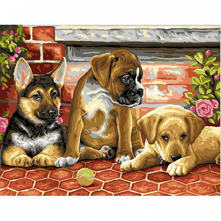Картина по номерам Picasso Три щенка PC4050074