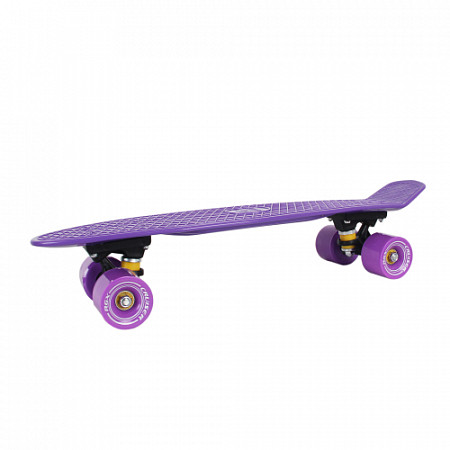 Penny board (пенни борд) RGX PNB-10 22" violet